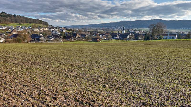 Otelfingen