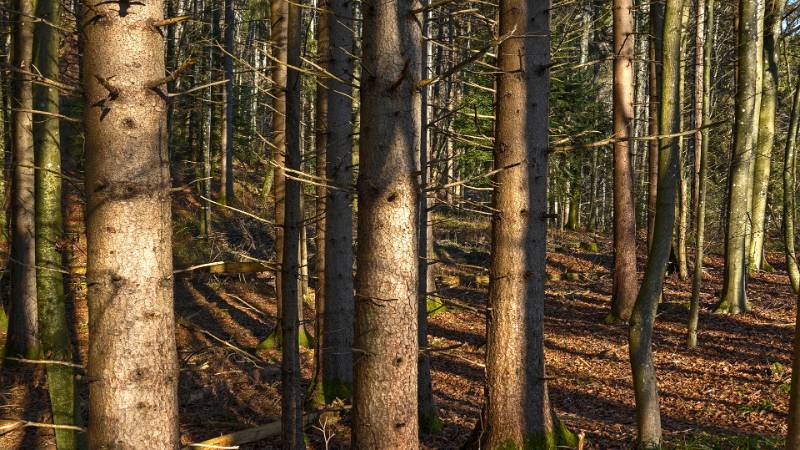 250112-grosse-runde-greppe-laegernl-01428_29_30 (3)